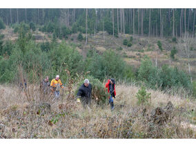Es weihnachtet in St. Crescentius (© Karl-Franz Thiede)